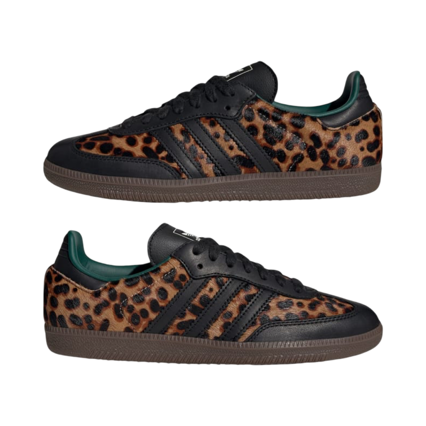 Samba Og Leopard