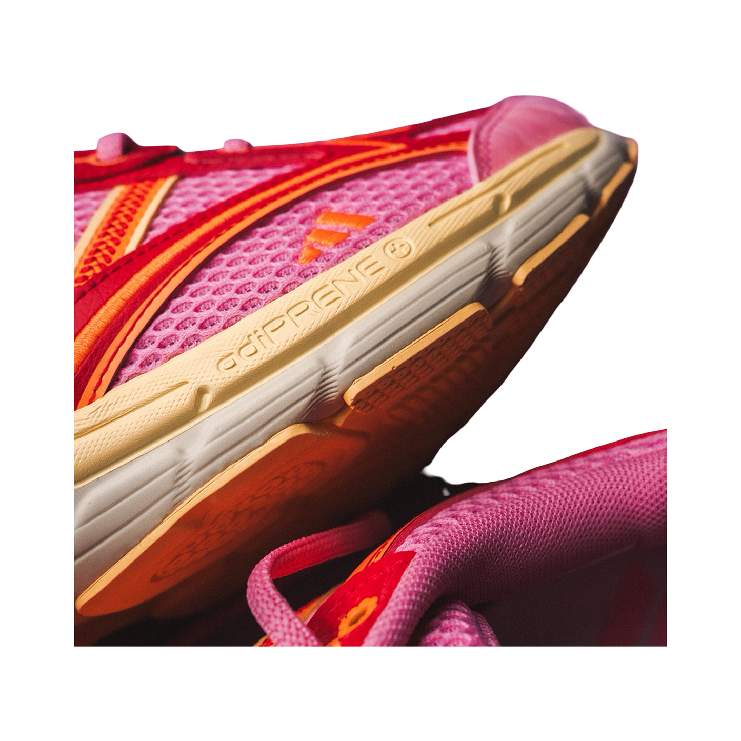 Spiritain 2000